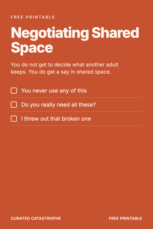 Preview of the Negotiating Shared Space printable